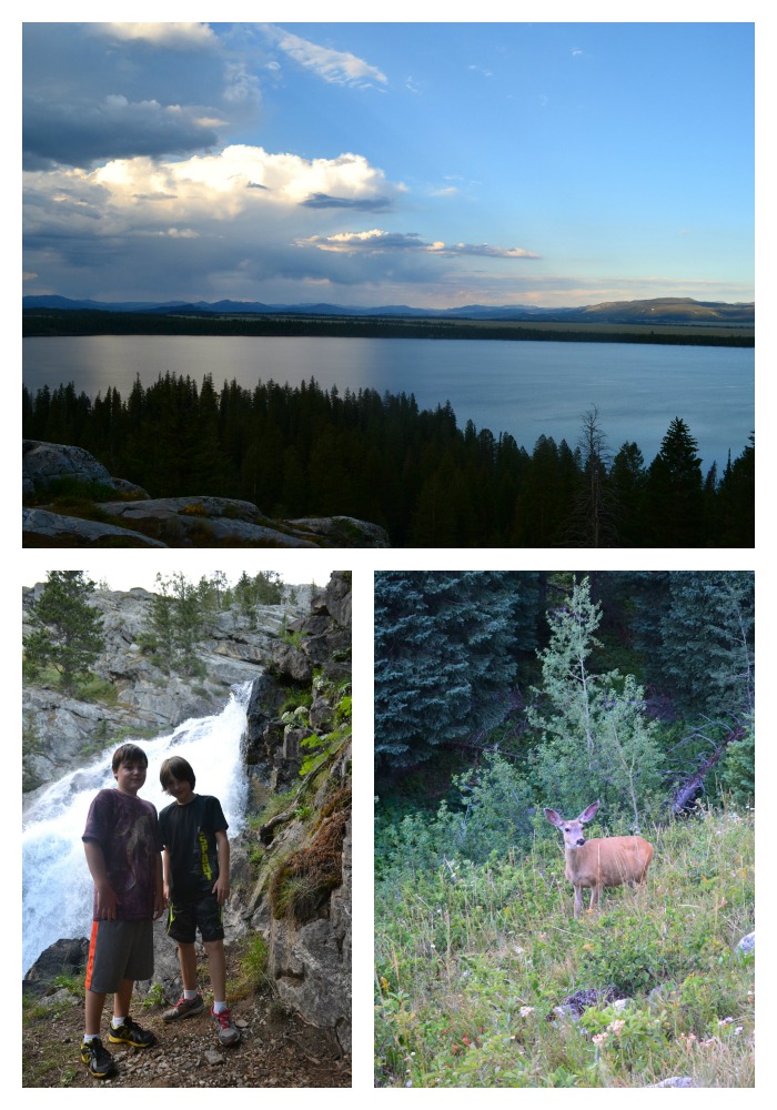 living earth lake jackson living earth lake jackson