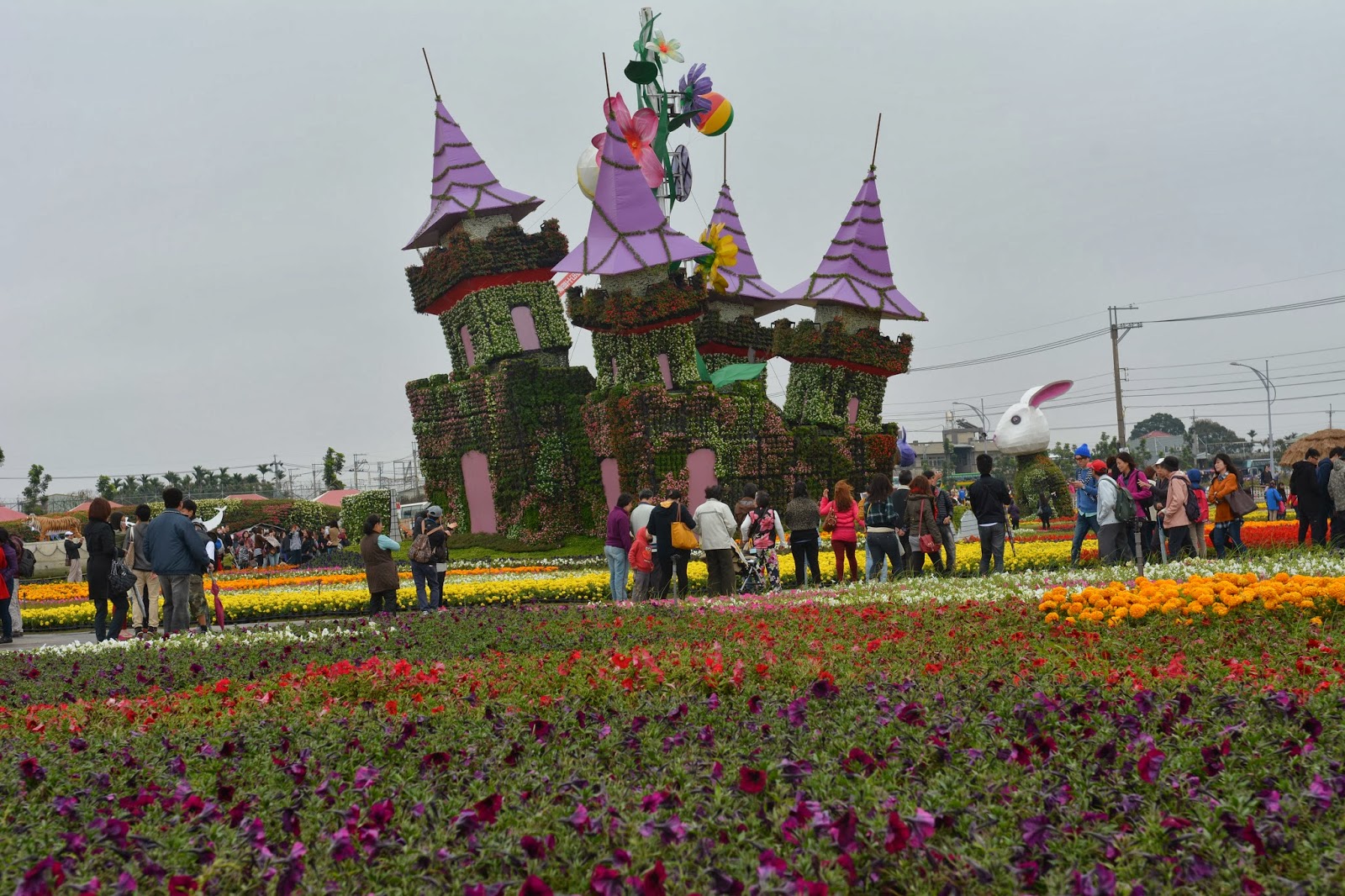 歡迎光臨三田國小學務處 十一月13