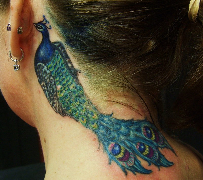 Peacock Tattoo Significance A survey In excess of a long time with early 