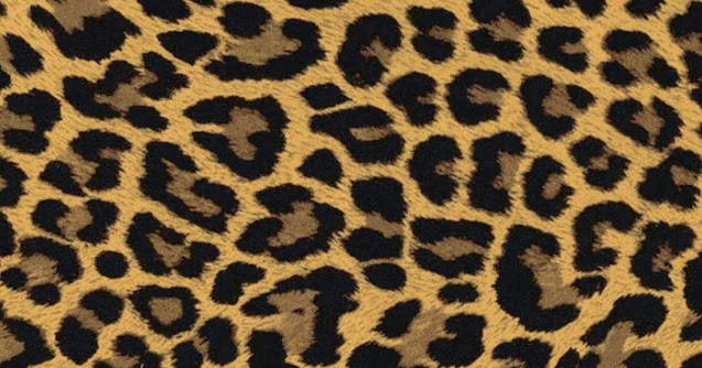 Nail Design レオパード ヒョウ柄 ネイル 画像まとめ 秋 冬にぴったりの流行 デザイン 14