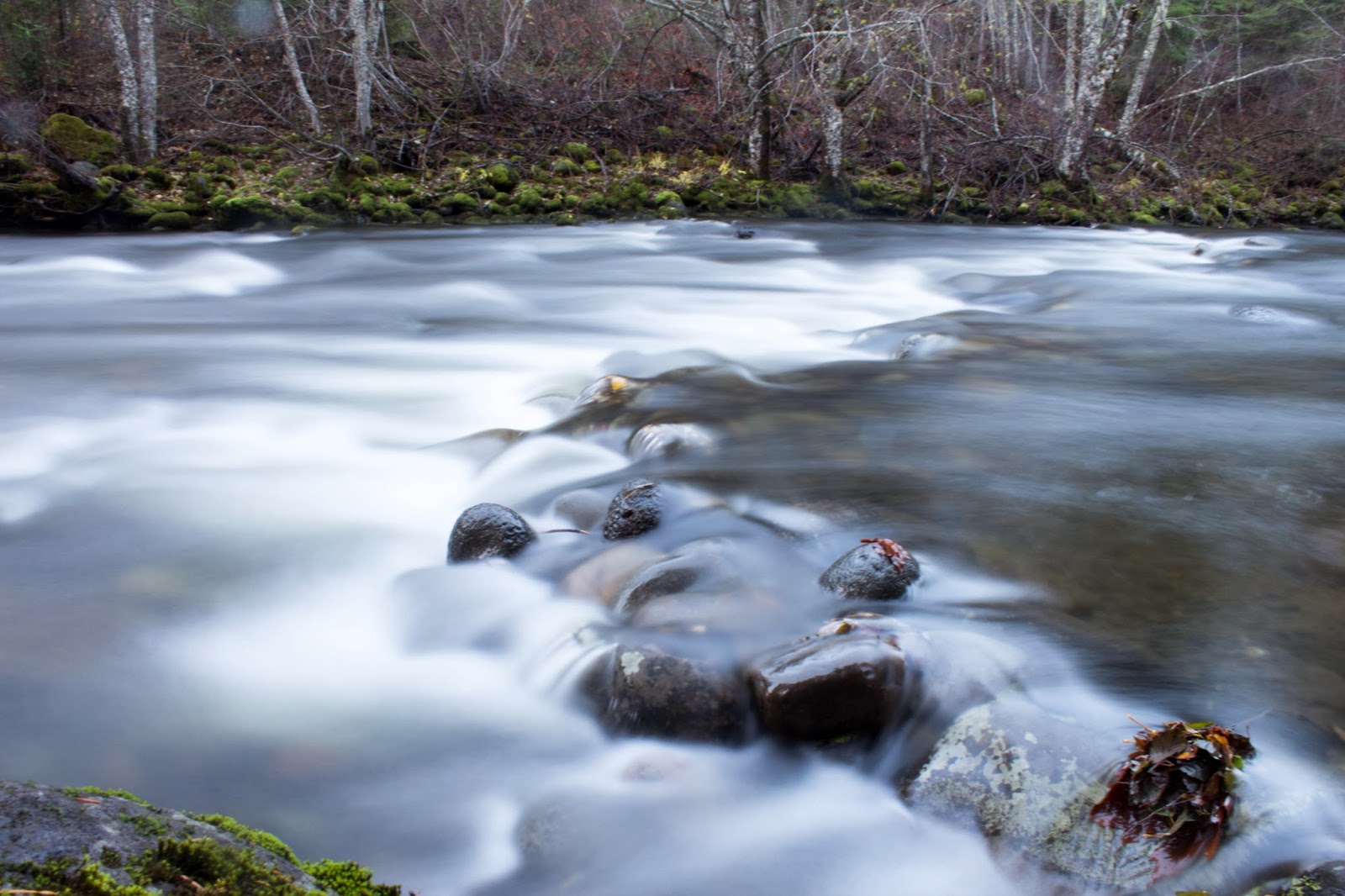 Pete and Buzz Guler Ice Caves Trout Lake. WA