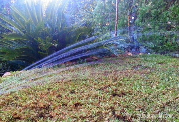 Las claves para recuperar un césped estropeado - Guia de jardin