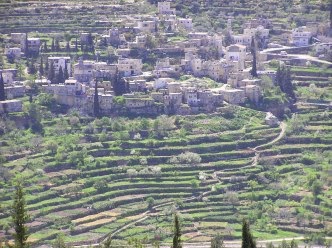      Battir-28247-332x248