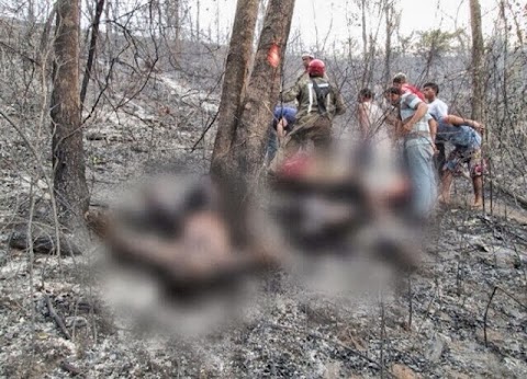 Trabalhadores morrem carbonizados em fazenda da Suzano no MA