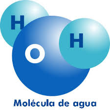 Molécula del agua