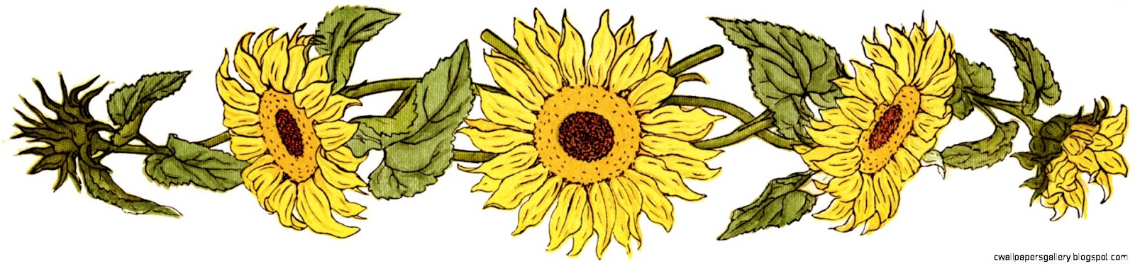 Flower Sunflower Clipart Free Printable Sunflower Sunflower Flower Sunflower Clipart Free Printable Sunflower Sunflower