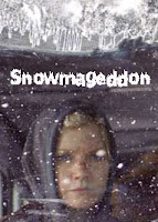 Snowmageddon (2011)