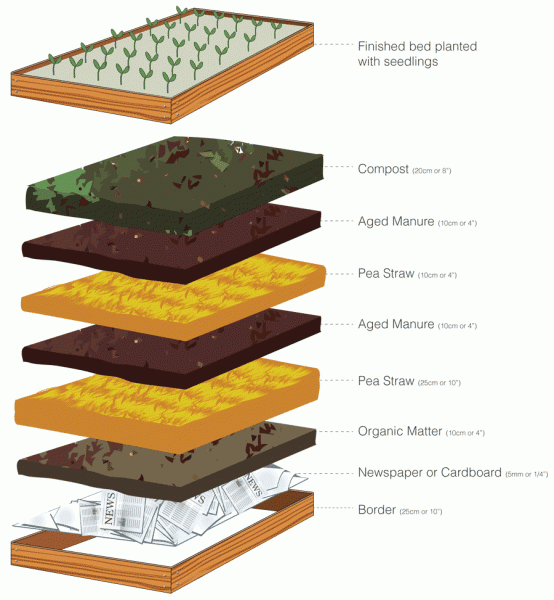 Dorina's Delight™ RAISED BED GARDEN
