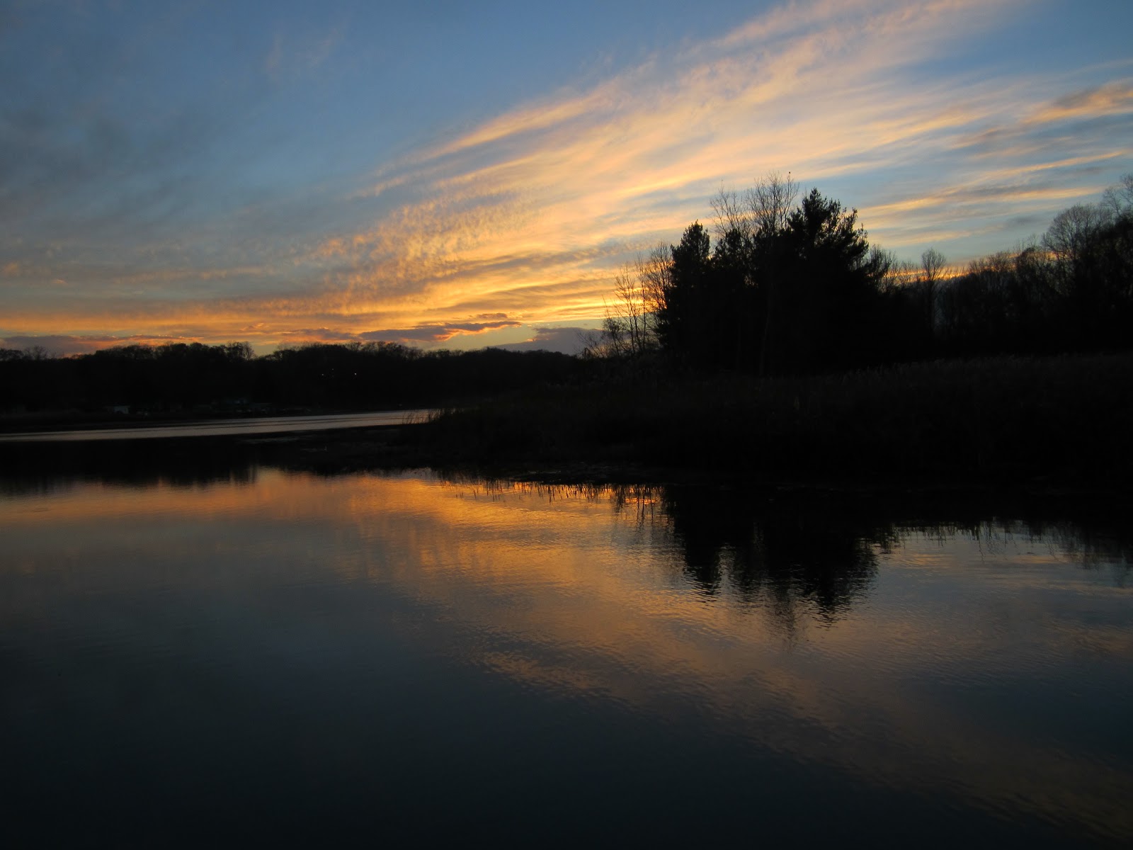 The Adventures of Little FIsh Pigeon Lake, Lake Michigan, and Pigeon Creek