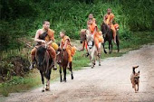 Horse Riding Monks at Wat Tham Pa Asha
