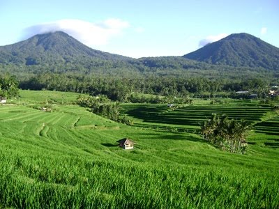 Kenampakan Alam Wilayah Daratan di Indonesia - Panduan soal