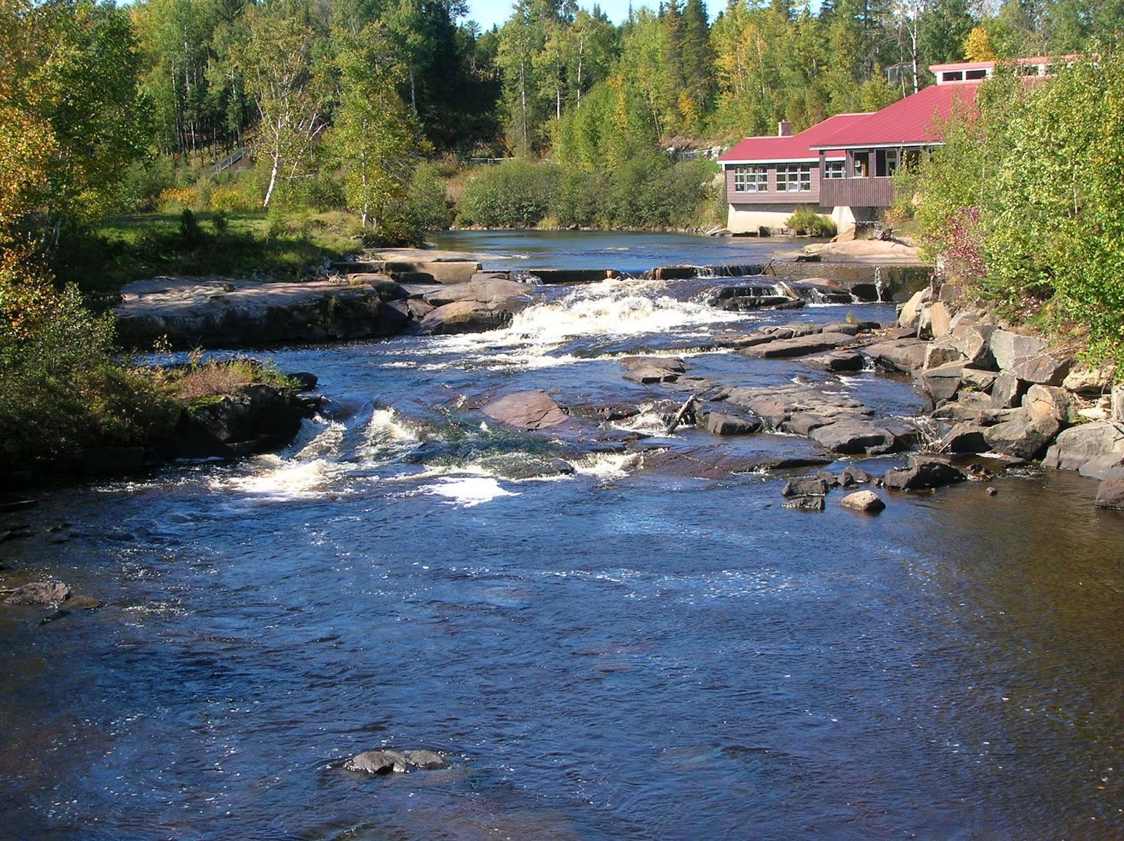 Partir au Québec Canada 2007 Le zoo sauvage de SaintFélicien