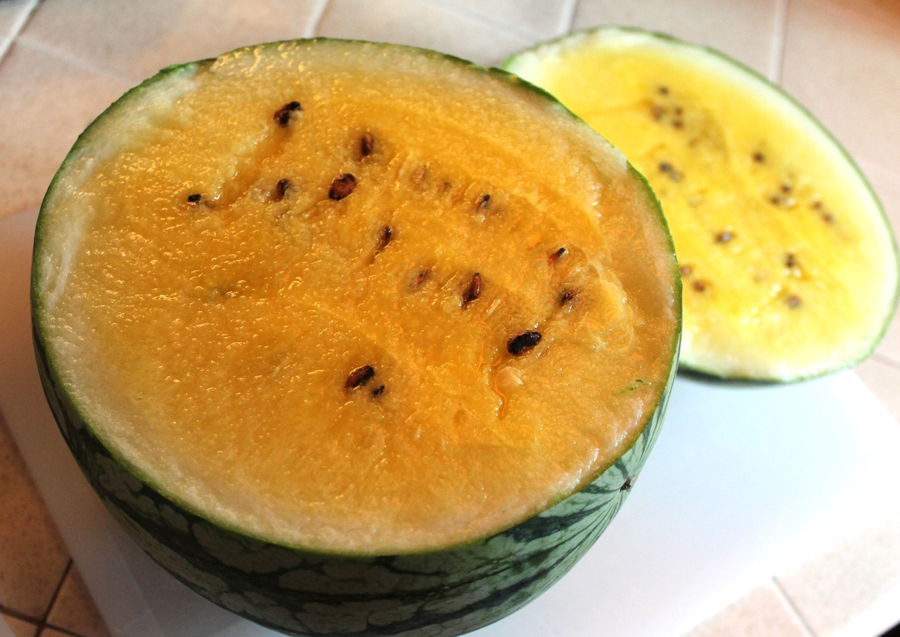 The Earth of India All About Watermelon in India