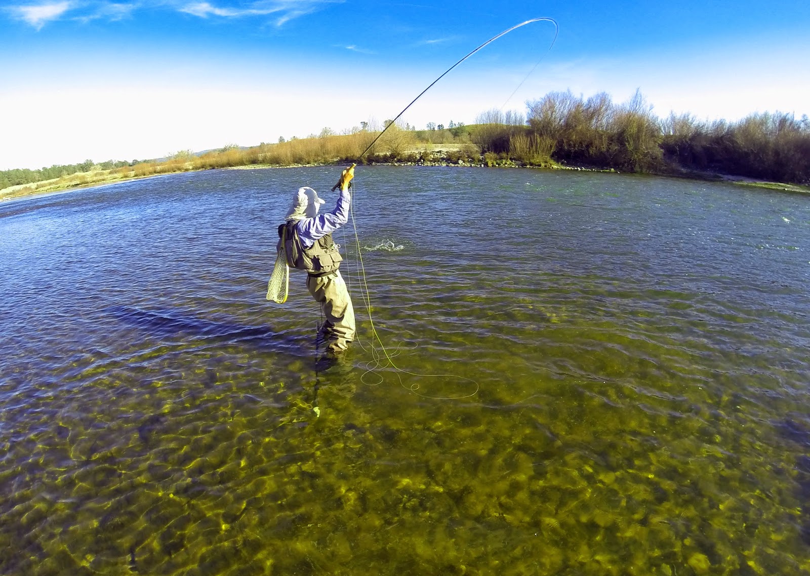 Jon Baiocchi Fly Fishing News Lower Yuba River Fishing Report 2/24/2015
