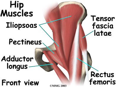 Tom's Physiotherapy Blog: Importance of the hip joint in rock climbing