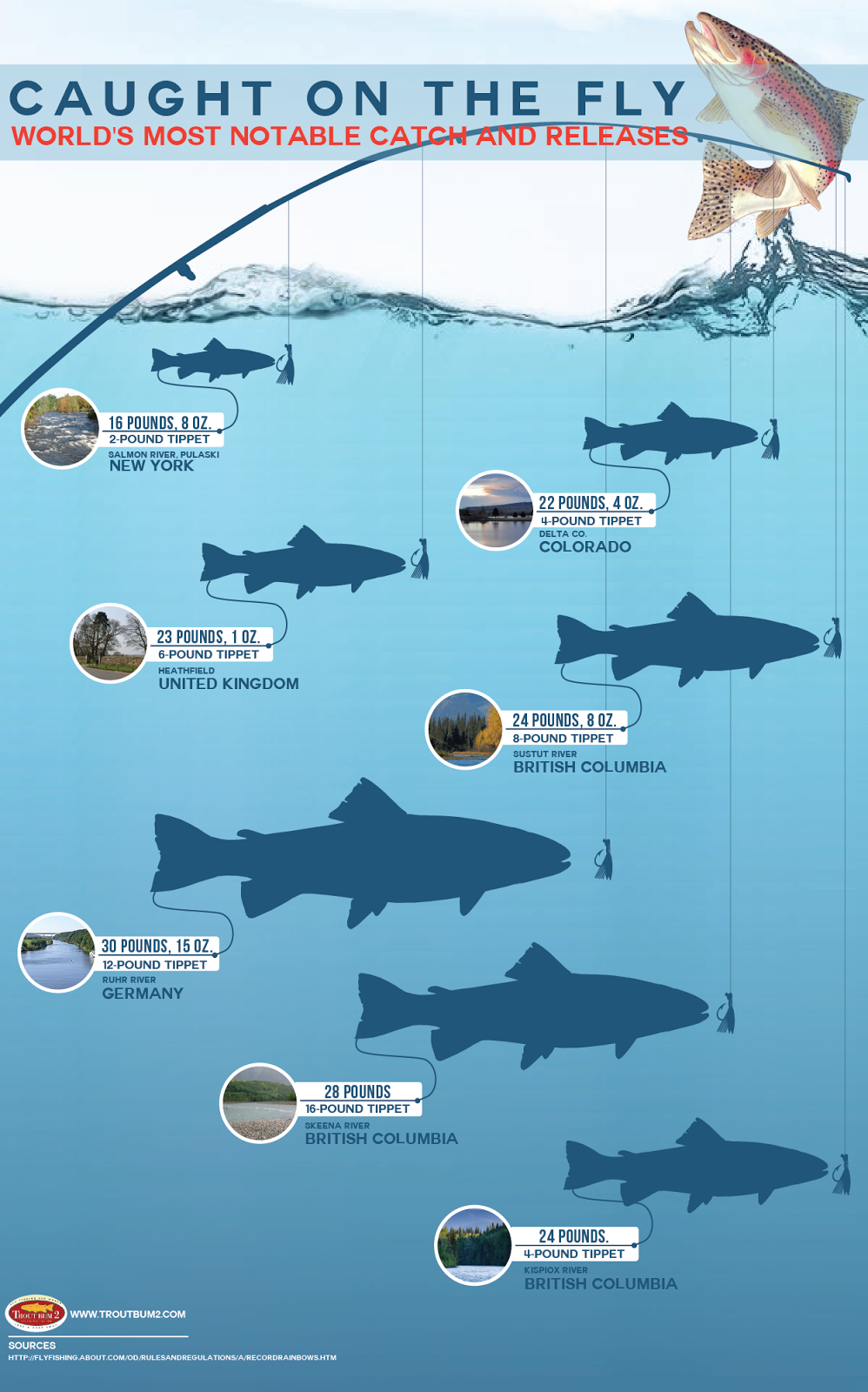 Fishing Headquarters Infographic World's Most Notorious Catch and