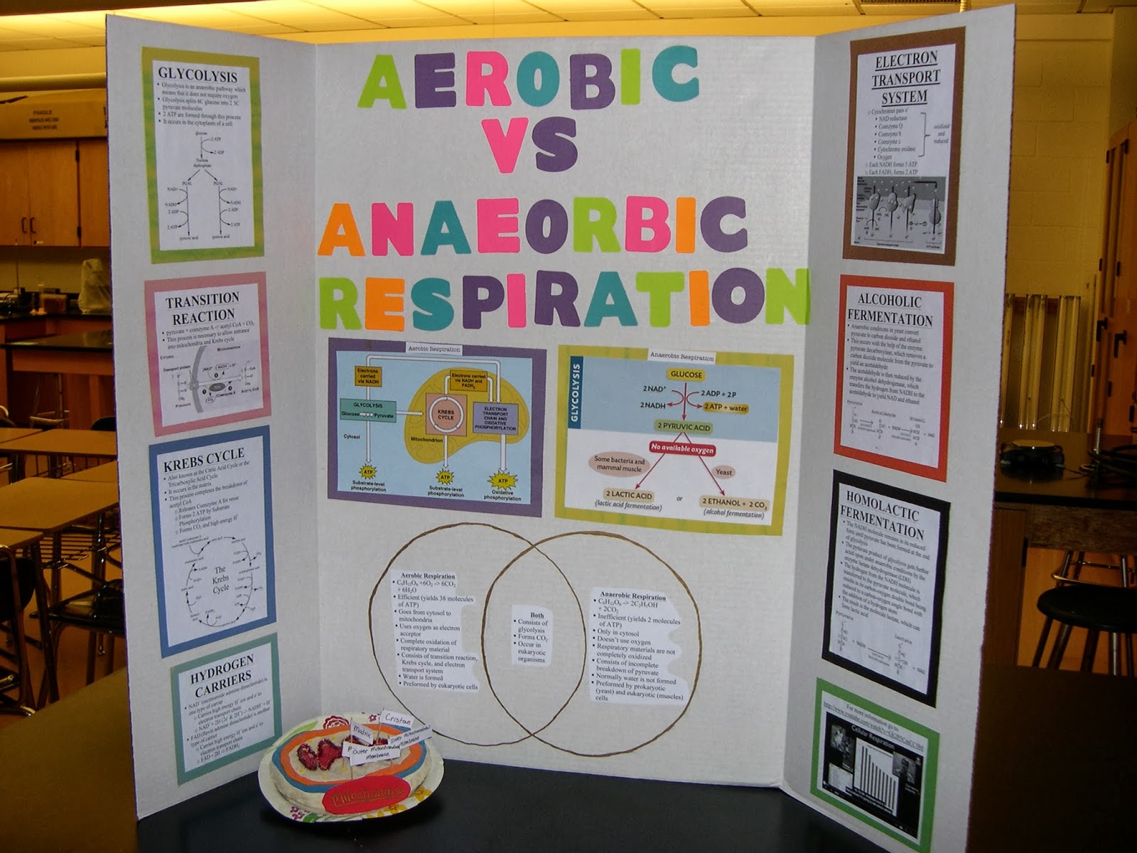 Photosynthesis equation picture