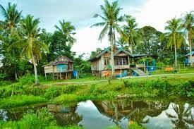 PUISI RINDU KAMPUNG HALAMAN - ELHIDA ~ Puisi Kata Cinta