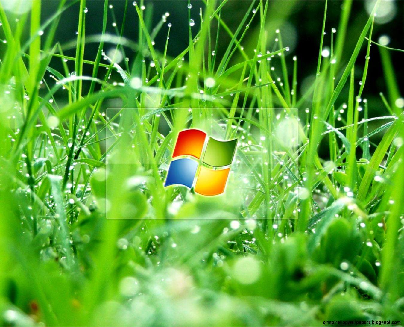 Cool Nature With Windows 7 Glass Effect HD Brands and Logos Cool Nature With Windows 7 Glass Effect HD Brands and Logos