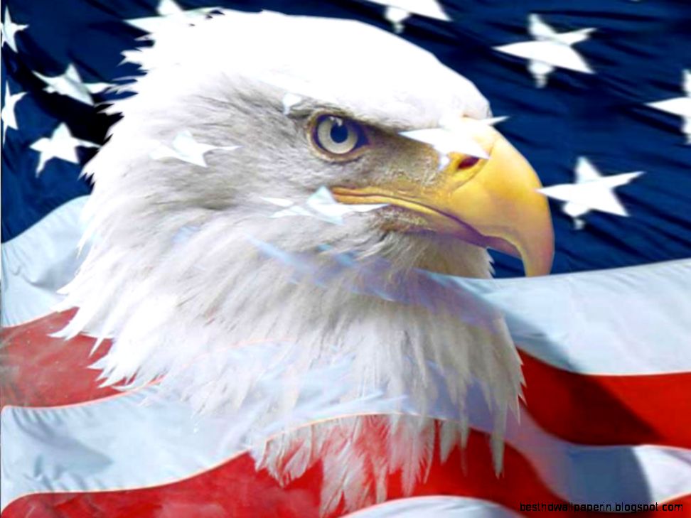 American Eagle Polo Shirts American Eagle Polo Shirts