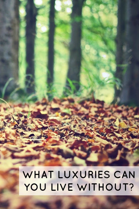 What Luxuries Can You Live Without?