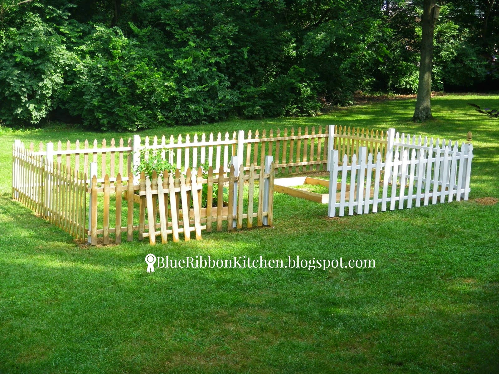 Blue Ribbon Kitchen: 20 Inspiring Backyard Garden Ideas!