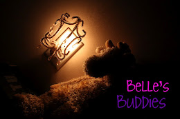 Belle's Buddies Count: 700+
