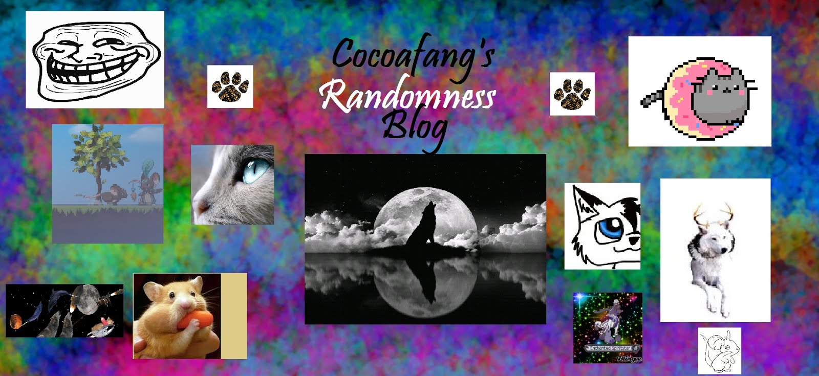 ~Cocoafang's Randomness Blog~