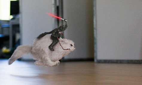 darth_cat.jpg