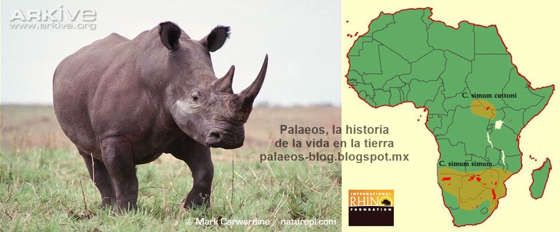 Come around - Idioms by The Free Dictionary