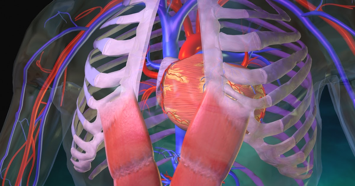 Healthy U Lung Surgery