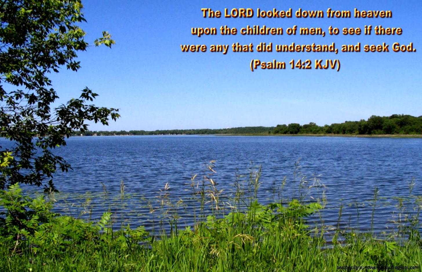 scenicwallpapersfreedownload scenicwallpapersfreedownload