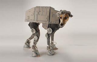 Imperial dog