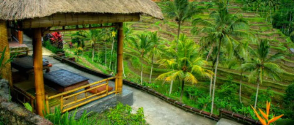 Wisata dan Kuliner Indonesia Yuk Jalanjalan ke Ubud Bali