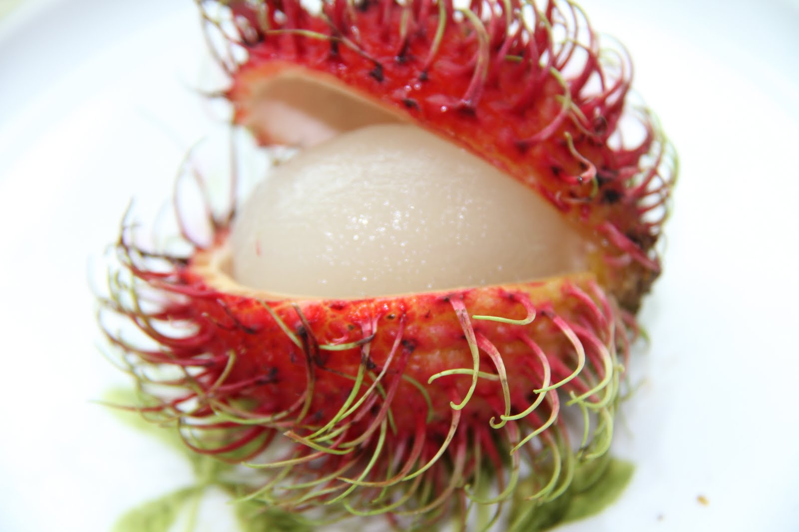 Back at it Bangkok and Beyond Thailand. the King of the Fruits