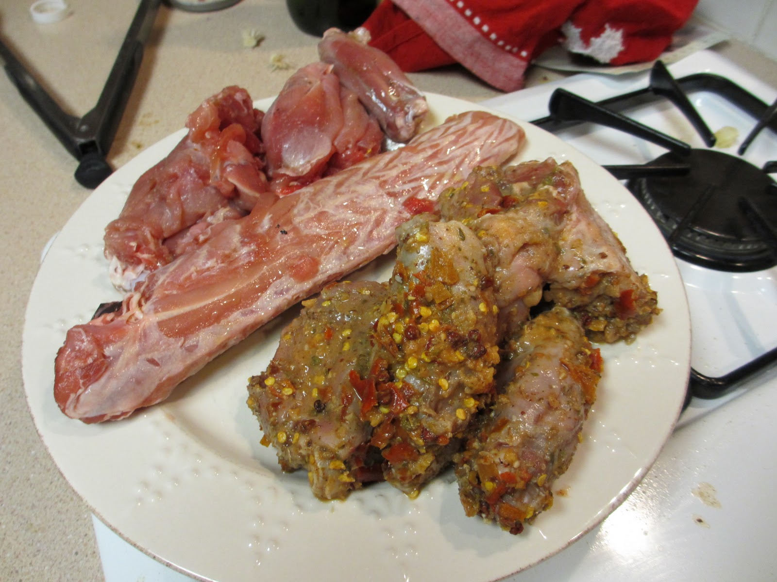 Cannundrums Grilled Iguana