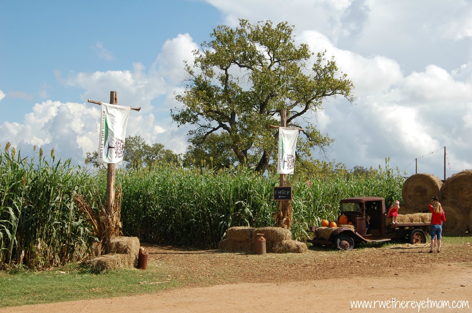Barton Hill Farms Austin, TX R We There Yet Mom?