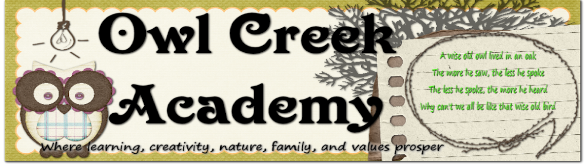 Owl Creek Academy