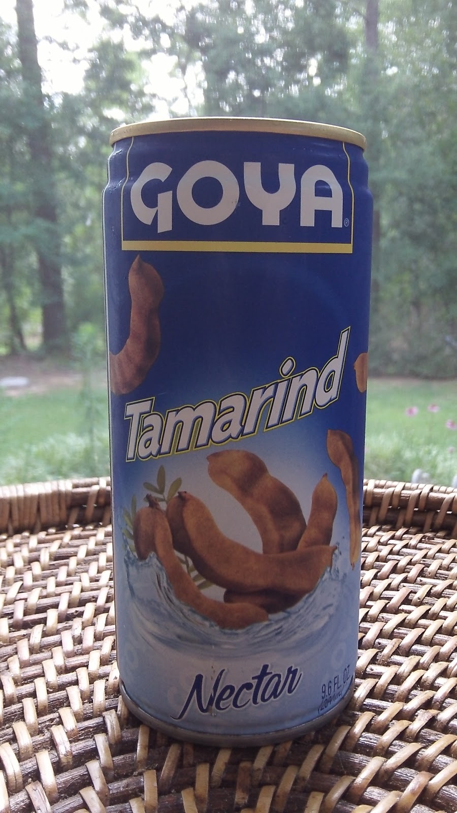 Drinkable Review Goya Tamarind Nectar