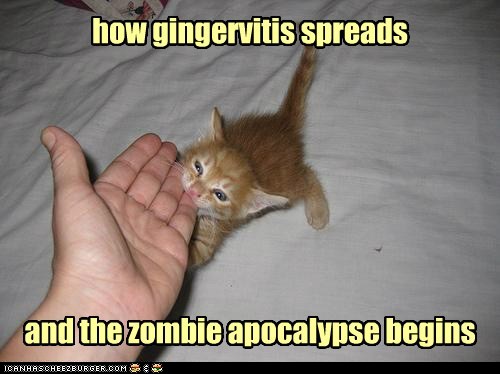 zombie+kitten.jpg