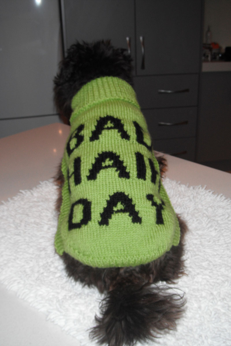 The Knitting Needle and the Damage Done Scritchy's To Do List and