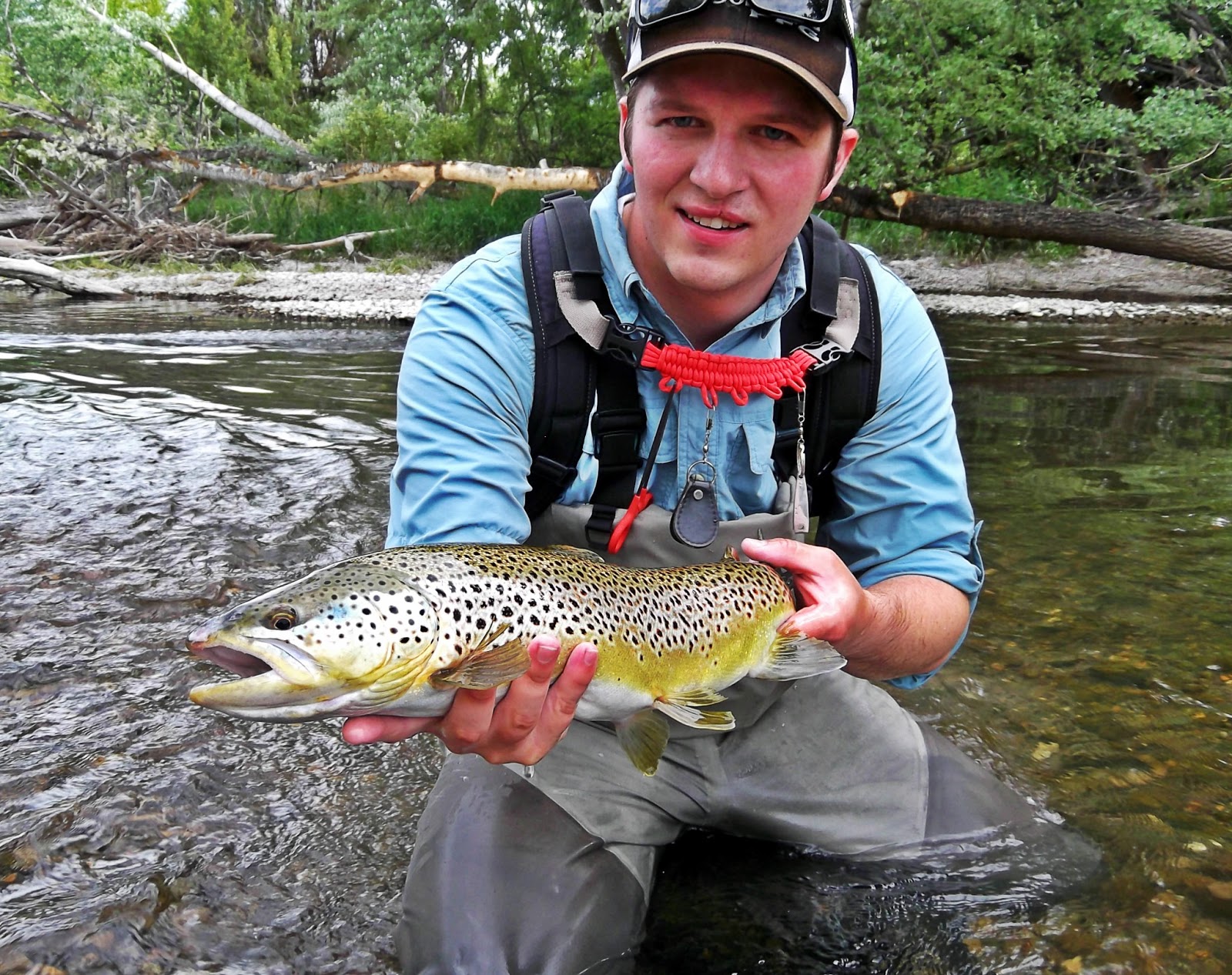Central Pa Trout Bum