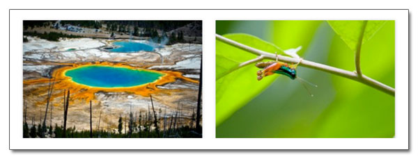 Couleurs et contraste