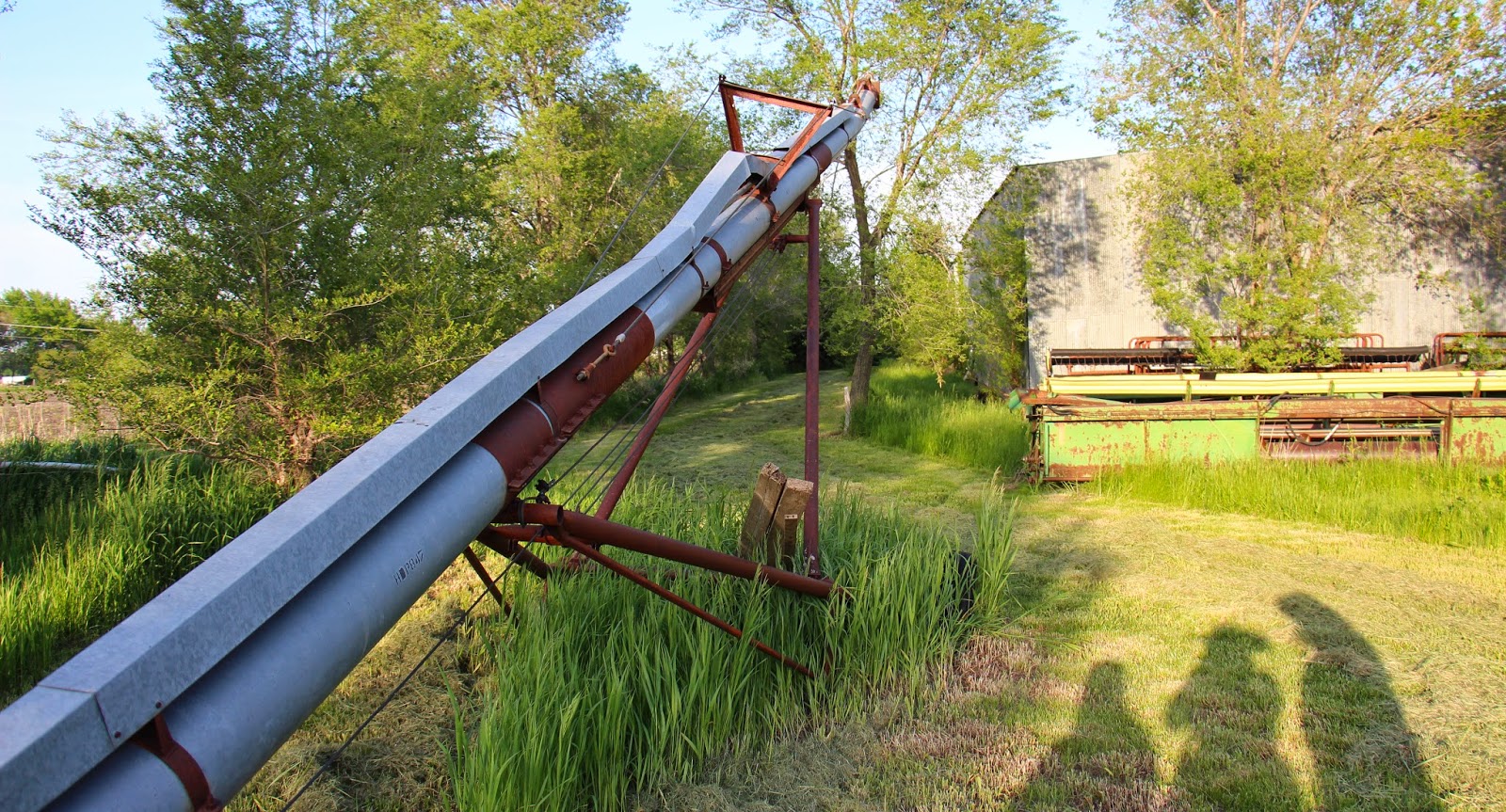 Groundbreaking Roots Growing Wheat at Soaring Eagle Farms