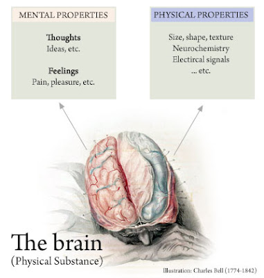 mind brain identity theory Identity theory is a family of views on the relationship between mind and body type identity theories hold that at least some types (or kinds, or classes) of mental. mind brain identity theory Identity theory is a family of views on the relationship between mind and body type identity theories hold that at least some types (or kinds, or classes) of mental.