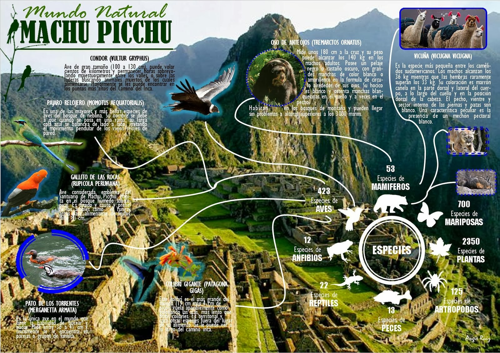 TU LADO VIAJERO Machu Picchu no solo es una ciudad, enterate que mas hay…