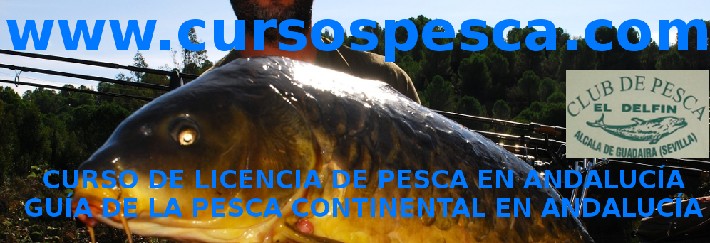 CURSO DE OBTENCIÓN DE LICENCIA DE PESCA CONTINENTAL EN ANDALUCÍA