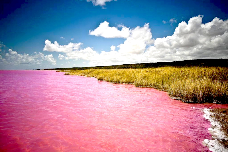 Destinos Insólitos. Retba, el Lago Rosa de Cabo Verde My Celebrity Skin