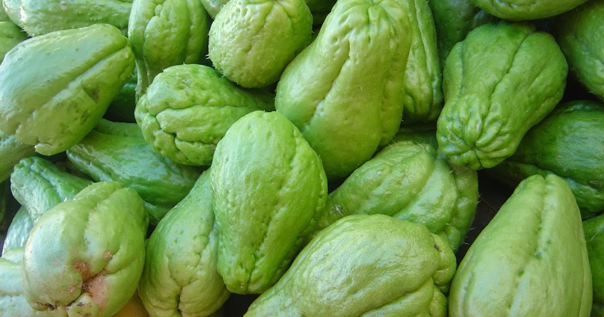 Nada es imposible, solo entrenable: Consejo nutricional: Chayotera