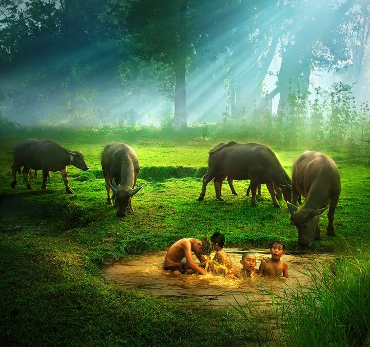 Yoga asanas telugu free yoga vasistha in hindi pdf free yoga vasistha pdf free